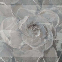 Arredamento Tappeto da interno Rosa Bianca Internoinpelle