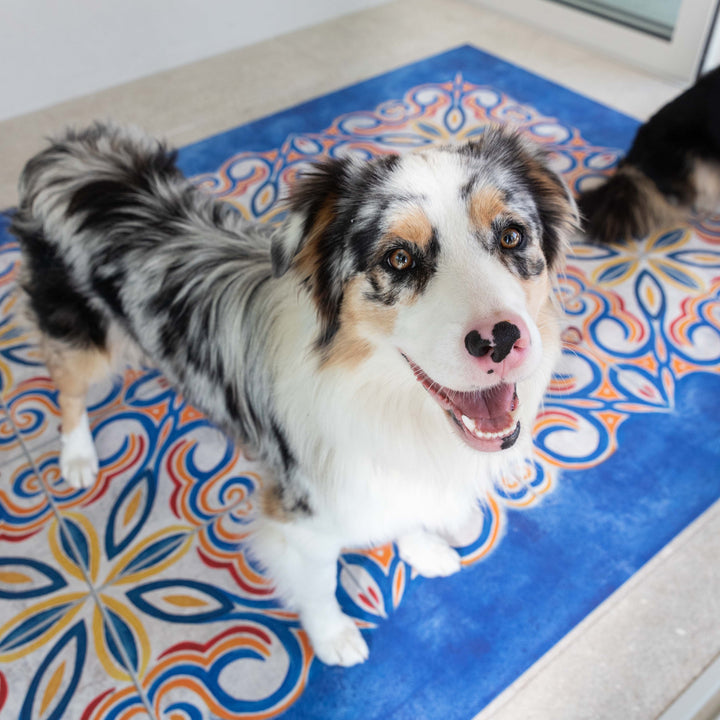 Scegliere il tappeto perfetto per animali domestici