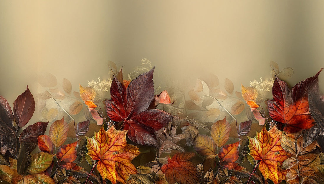 Passatoia Cucina Skin Eleganza | Tappeto Antiscivolo Raffinato